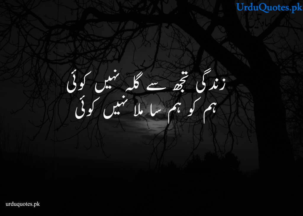 sad Life quotes in urdu