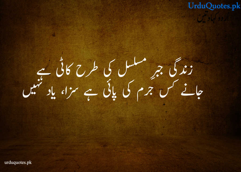 sad Life quotes in urdu