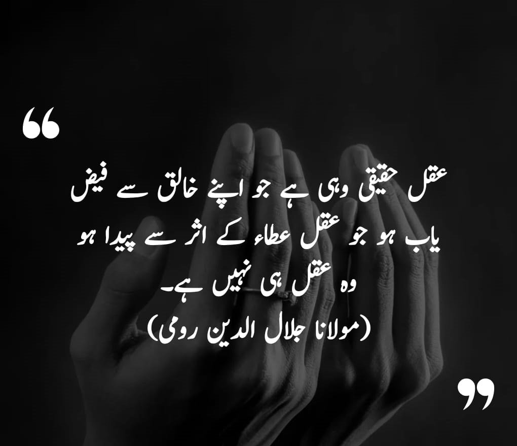 Maulana rumi quotes in urdu