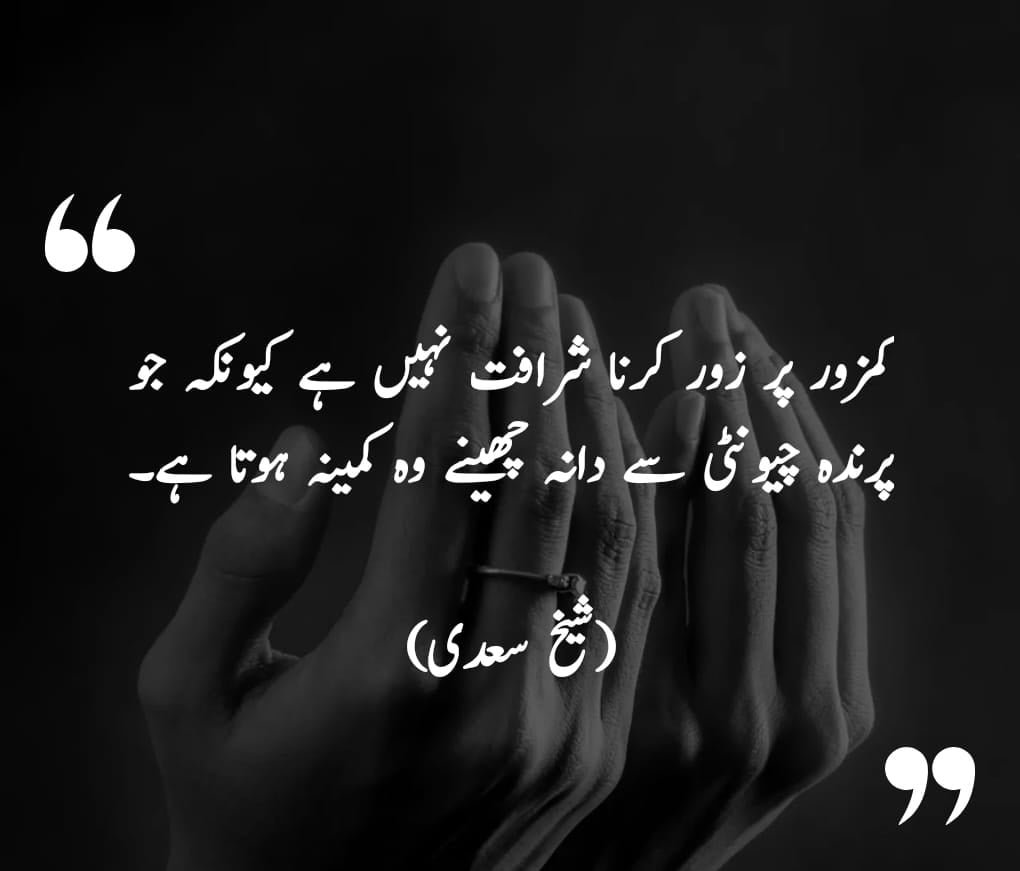 sheikh saadi sayings in urdu