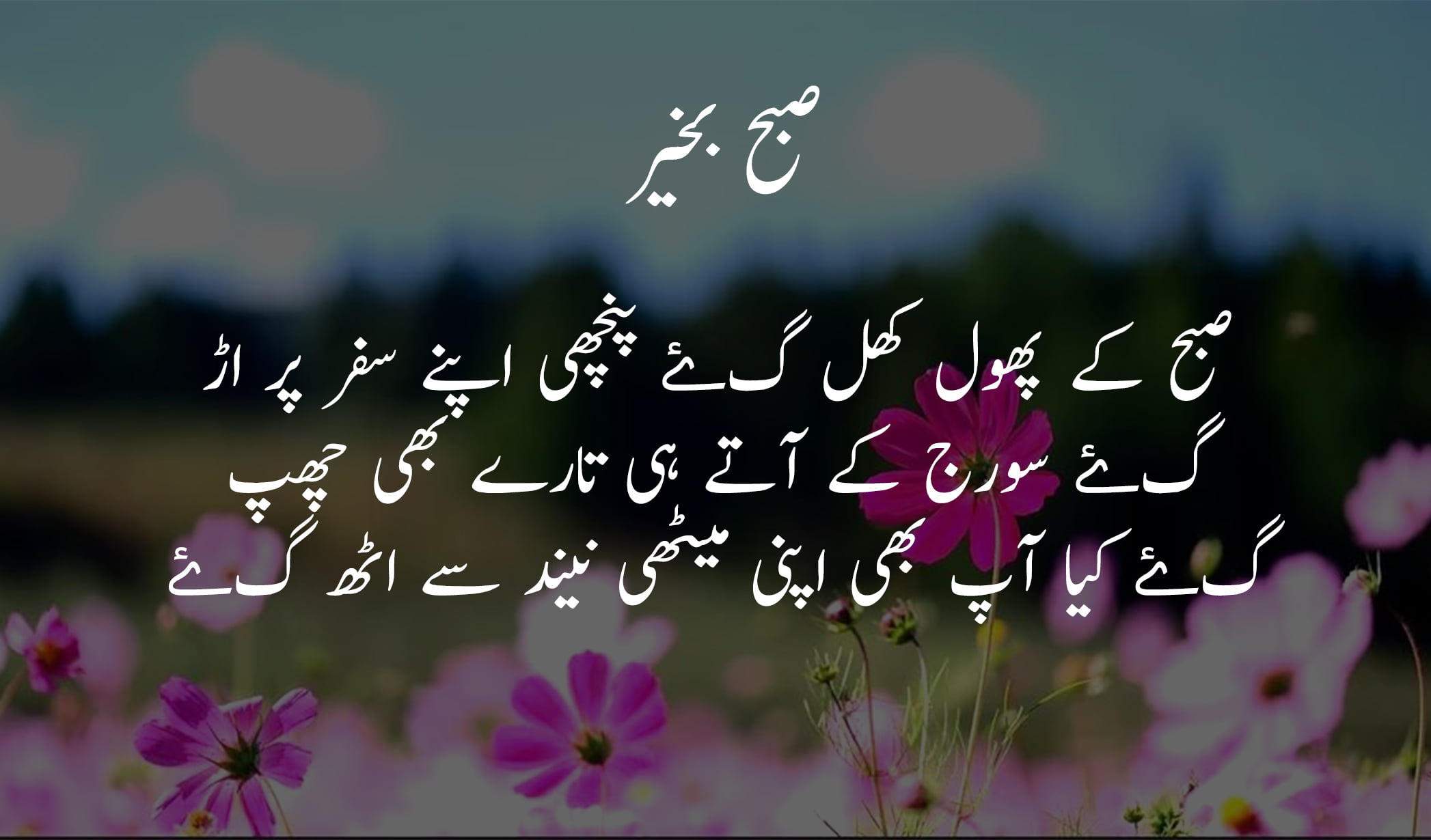 Morning Quotes, Poetry and Wishes in Urdu | صبح بخیر