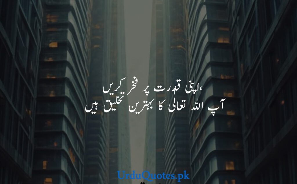 Attitude-quotes-in-urdu-8