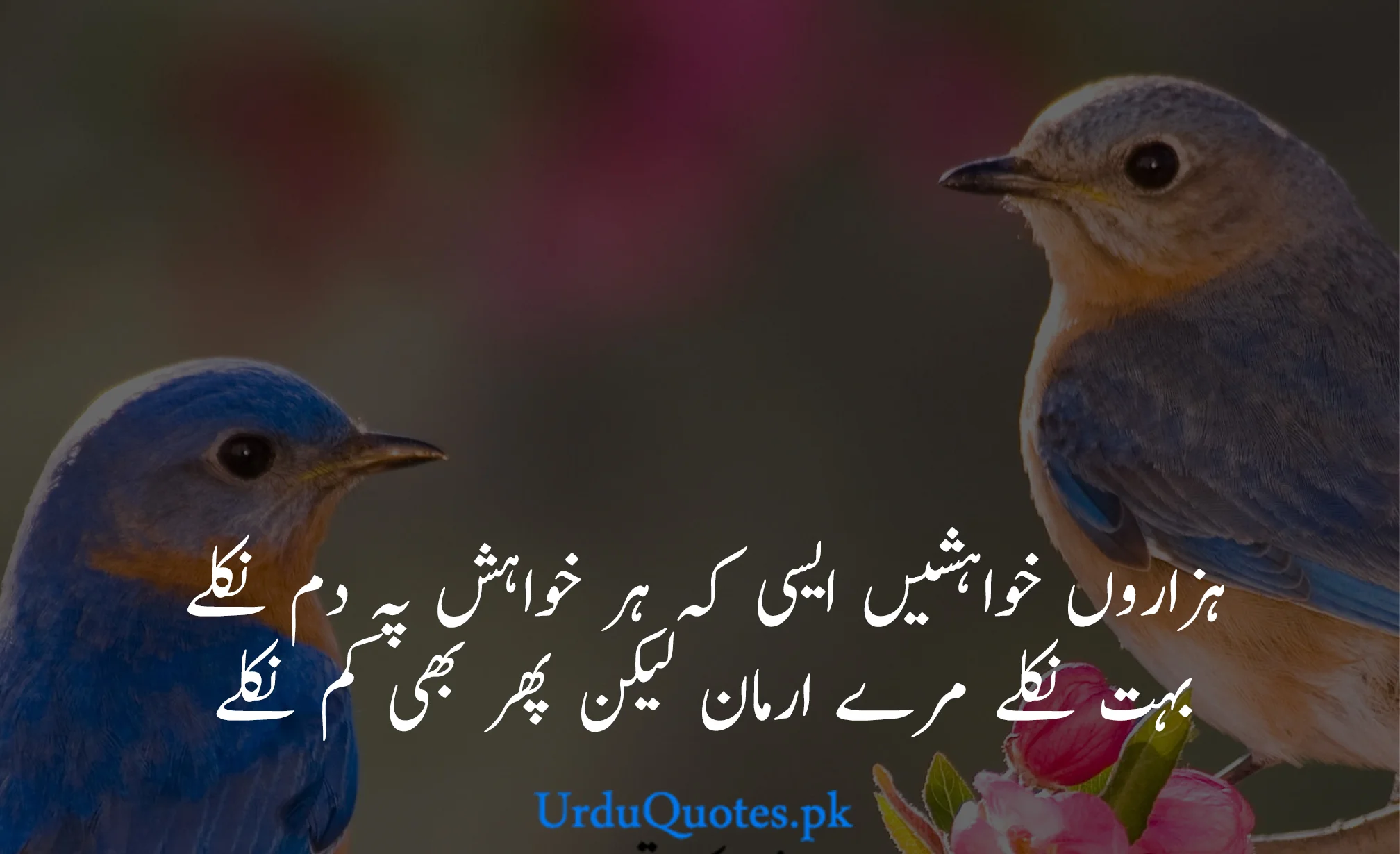 Beautiful-quotes-in-urdu-2