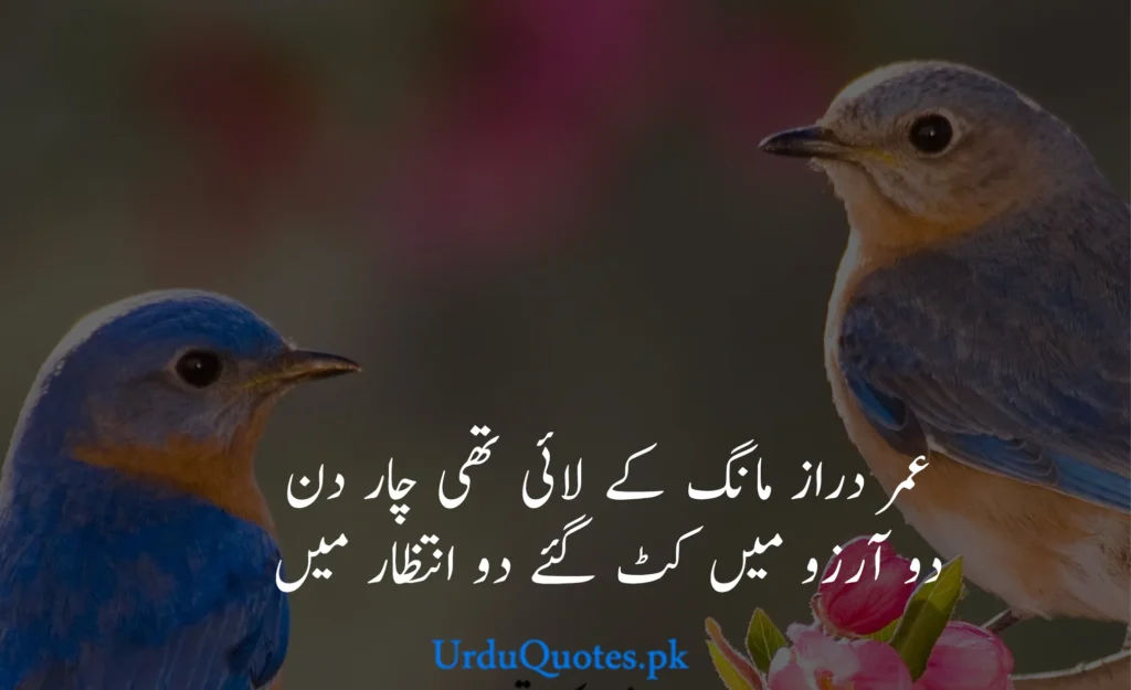 Beautiful-quotes-in-urdu-5