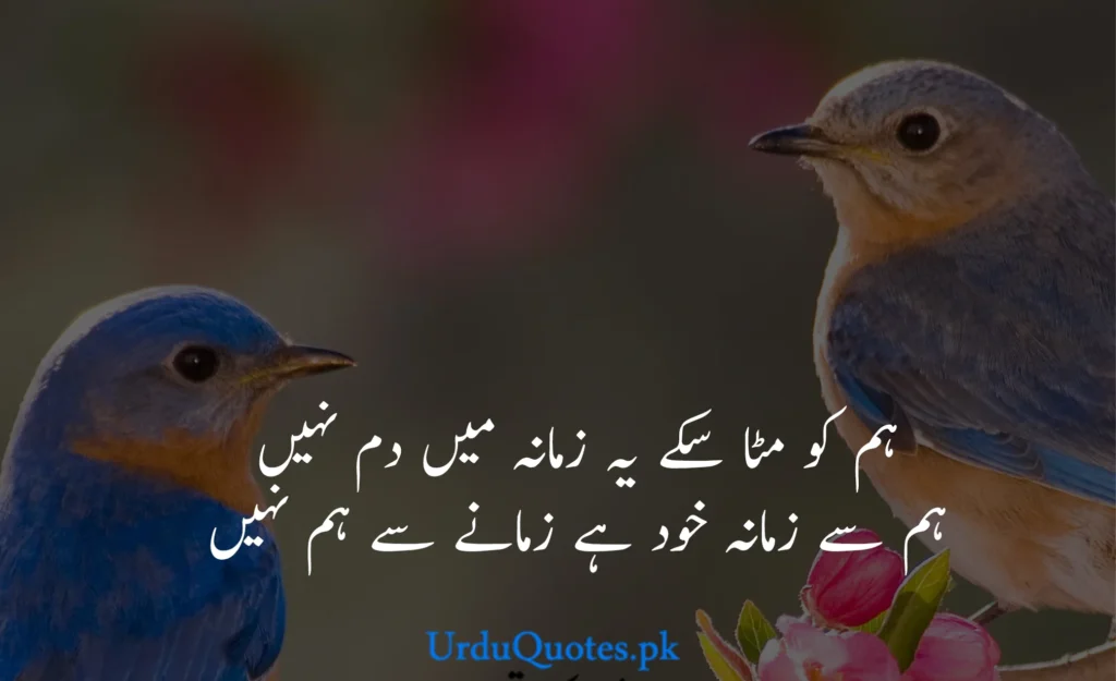 Beautiful-quotes-in-urdu-8