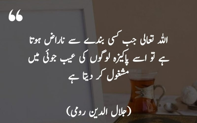 Maulana rumi quotes in urdu