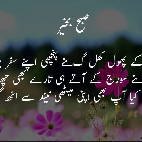 Morning Quotes, Poetry and Wishes in Urdu | صبح بخیر
