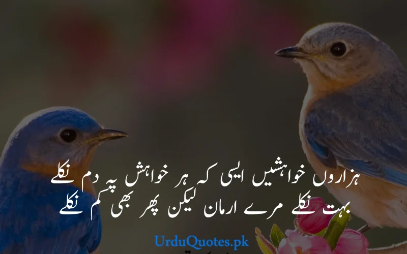 Beautiful-quotes-in-urdu-2