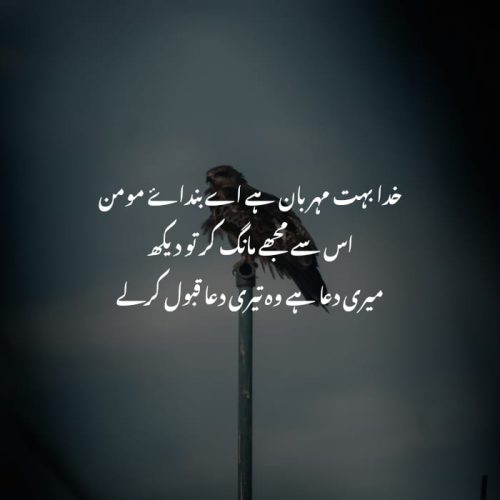 Dua Quotes in Urdu