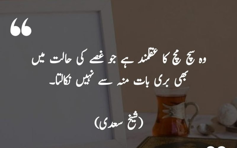 15+ Sheikh Saadi Quotes in Urdu