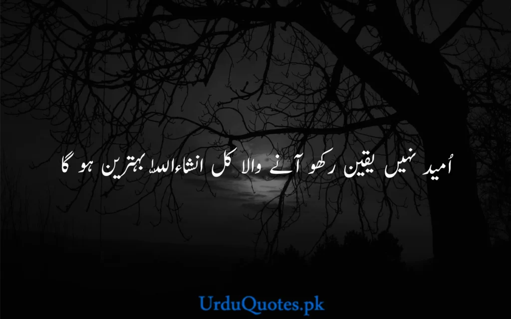 One Line Quotes in urdu